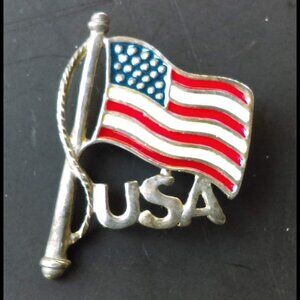 Vintage Patriotic USA Flag Enameled Brooch Vest Hat Lapel Pin